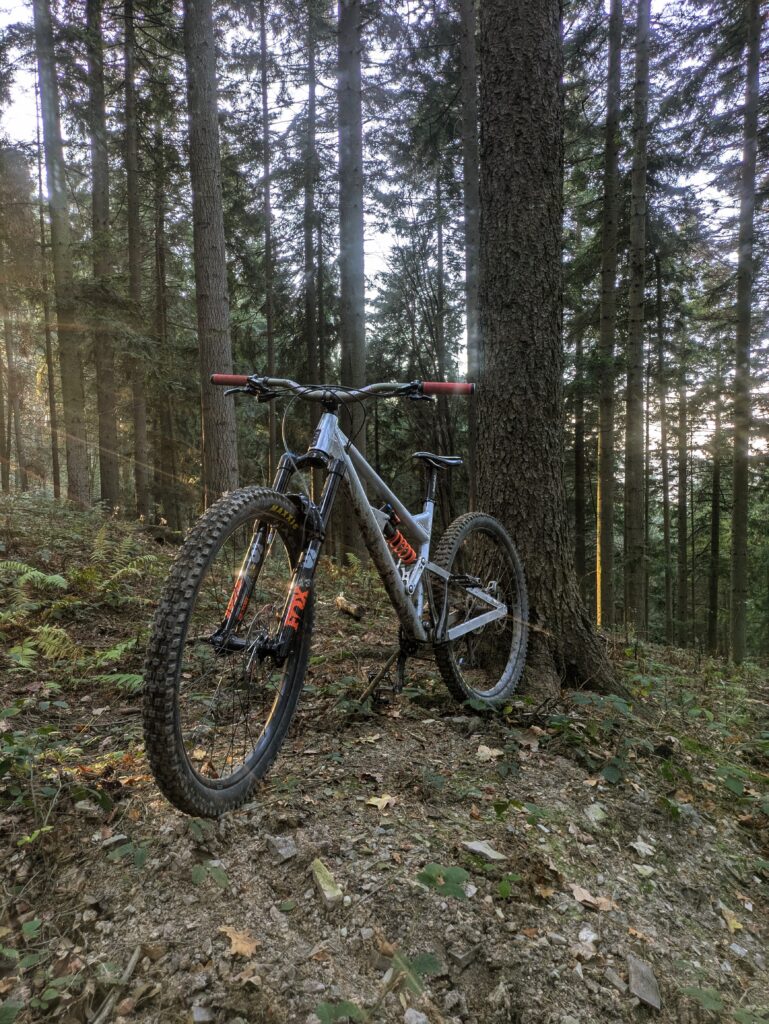 Rama SFR Dodger
